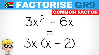 Gr 9 Factorisation Common Factor [upl. by Ahsieker172]