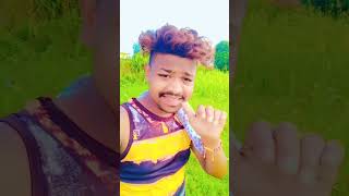 NEW MALTO VIDEO SONG 2024 PAHADIYA SONG VIDEO [upl. by Llerahc]