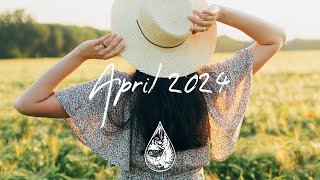 IndiePopFolk Compilation  April 2024 2Hour Playlist [upl. by Carol]