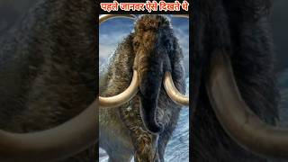 ऐसे जानवर जो लाखो साल पहले काफी अलग दिखते थे 😱 most unique animals viral facts shorts animal [upl. by Haidabej841]