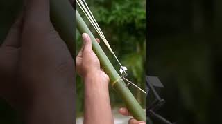 Pure Green Bamboo Creation with Slingshots diy bamboo [upl. by Nino]