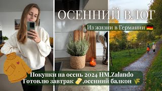 🍂ОСЕННИЙ ВЛОГ из ГЕРМАНИИ 🇩🇪 Время летит🍃Покупки одежды на осень 🛍️ Полезные лепешки 🫓 [upl. by Sirej]