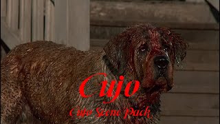 Cujo Scene Pack  Cujo [upl. by Oirelav642]