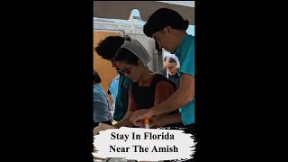 Amish Country Florida A Place To Explore Amish Culture [upl. by Aiet783]