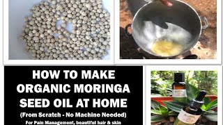 How to Extract Moringa Seed Oil at Home moringaseedoil [upl. by Haela499]