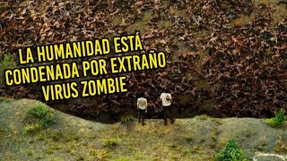 LA HUMANIDAD ES INFECTADA POR UN VIRUS ZOMBIE EL MUNDO SE CONVIERTE EN UNA TUMBA GIGANTE [upl. by Noiztneb]