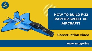 AEROGO  F22 Raptor Speed Build RC Plane  Simple coroplast RC Plane [upl. by Eanert]