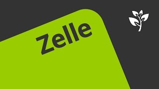 Zellen und Zellformen  Biologie  Cytologie [upl. by Anailuy]