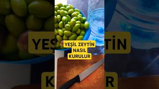 YEŞİL ZEYTİN NASIL KURULUR shorts food [upl. by Atekihs]