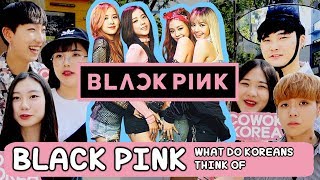 WHAT DO KOREANS THINK OF BLACKPINK BLACK PINK [upl. by Anerroc]