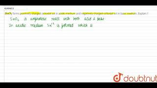 SnO2 forms positively charged colloidal sol in acidic medium and negatively [upl. by Markus488]