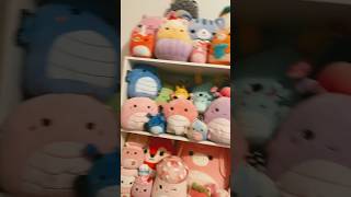 Collector check   Insect edition  squishmallows plushies squish [upl. by Shell24]