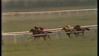 1985 Cheltenham Gold Cup Forgive N Forget  Replay [upl. by Ausoj]