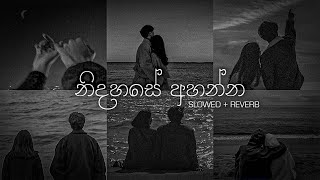 නිදහසේ අහන්න sinhala slowed  Reverb Collections  DEZTER BEATS [upl. by Enisamoht445]