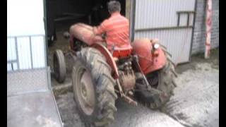 Massey Ferguson 35K Petrol [upl. by Leesen]