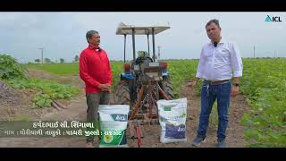 ICL Farmer Testimonial  Polysulphate Premium  Cotton  ICL India [upl. by Kayle]