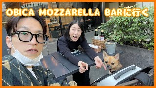 OBICA MOZZARELLA BARに行くポメチワ『みそ』と40代ニートの一日 [upl. by Aikenat]