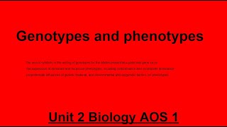 Unit 2 AOS 1 Biology Genotypes and Phenotypes [upl. by Myranda915]