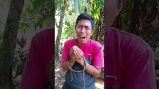 Sama sama keikat comedy shortvideo [upl. by Vaenfila]