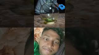 hydrochloric acid experiment experiment science crazyxyz foryou [upl. by Helsie]