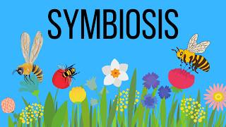 What is symbiosis in Biology Mutualism  Commensalism  Parasitism [upl. by Jammie221]