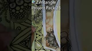 Zentangle  Project Pack 23  Day 7  Triangle Fragments shorts [upl. by Annoyt]