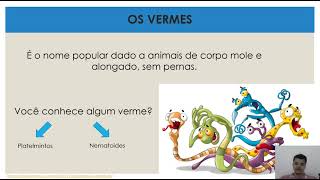 Vermes  7 ANO [upl. by Sinai]