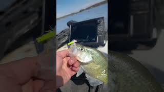 crappie crappiefishing littleriddle bassfishing [upl. by Burd]