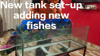 Fish tank setup  adding new fish 🐠 New journey 😍 [upl. by Katheryn]