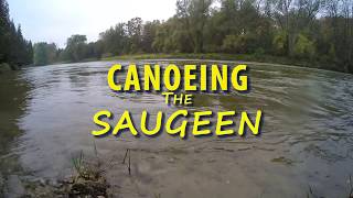 Canoeing The Saugeen [upl. by Alemak]