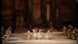 Swan Lake  Act1 Waltz [upl. by Barthol]