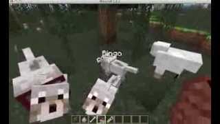 How to heal your dog in minecraft [upl. by Allegna351]