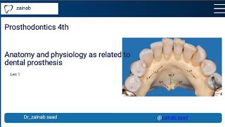 prosthodontics Lec 1 Anatomy and physiology as related to dental prosthesis المرحلة الرابعة [upl. by Anastatius]