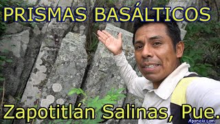 Prismas Basálticos ZAPOTITLÁN SALINAS PUE [upl. by Nissie]