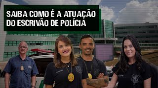 Policial Civil em Foco Saiba como atuam os escrivães de polícia da PCDF [upl. by Airotahs]