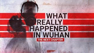 What Really Happened in Wuhan New evidence on COVID19 origins [upl. by Ornie]