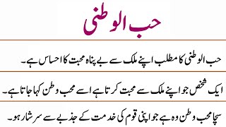 10 Lines Essay on Patriotism in Urdu  Patriotism Essay  Urdu Essays [upl. by Maurita]