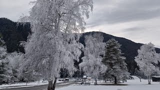 Splendide decorazioni del gelo in val Vigezzo gennaio 2024 [upl. by Jens70]