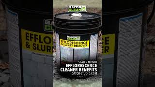 Efflorescence Cleaner Benefits [upl. by Howlan]