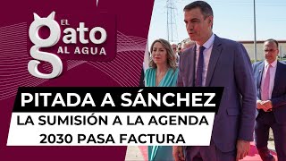 Sánchez se atraganta con jarabe democrático la sumisión a la Agenda 2030 pasa factura [upl. by Chrysa]