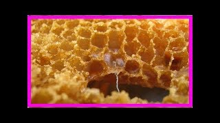 Fabriquez votre encaustique naturelle à base de cire d’abeilles [upl. by Nette416]