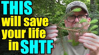 This WILL save your LIFE during SHTF – Be Prepared [upl. by Nyloc]