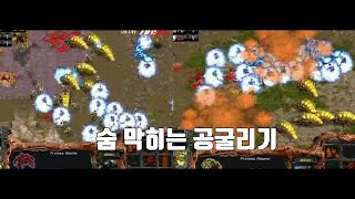 스타 명경기 모든 팬들이 열광하는 대규모 물량전 폭군 vs 전투의 신 아테네 대혈투 [upl. by Tavis]