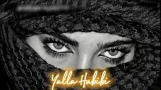 Yalla Habibi  Arabic Song  Slow and Reverb  trendingsong [upl. by Ade491]