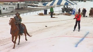 Extreme horse skijoring comes to Canterbury Park [upl. by Sunda227]