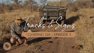 How to identify differentiate and read animal tracks amp signs  Guiding 101 l EcoTraining [upl. by Nisaj]