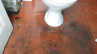 Toilet overflowing and flooding [upl. by Lundberg]