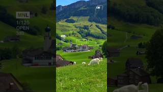 Switzerland city of Alps tourism 4k ll best place in Europeswissvillage shorts youtubeshorts [upl. by Heti631]