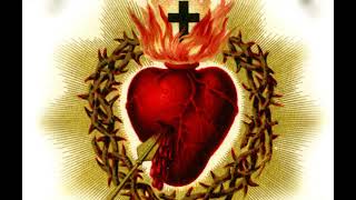 LETANIAS AL SAGRADO CORAZON DE JESUS [upl. by Sisco497]