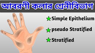 আবরণী কলার শ্রেনিবিভাগ  Types of Epithelial Tissu  Anatomy physiology  Homoeo Onushilon [upl. by Nader678]